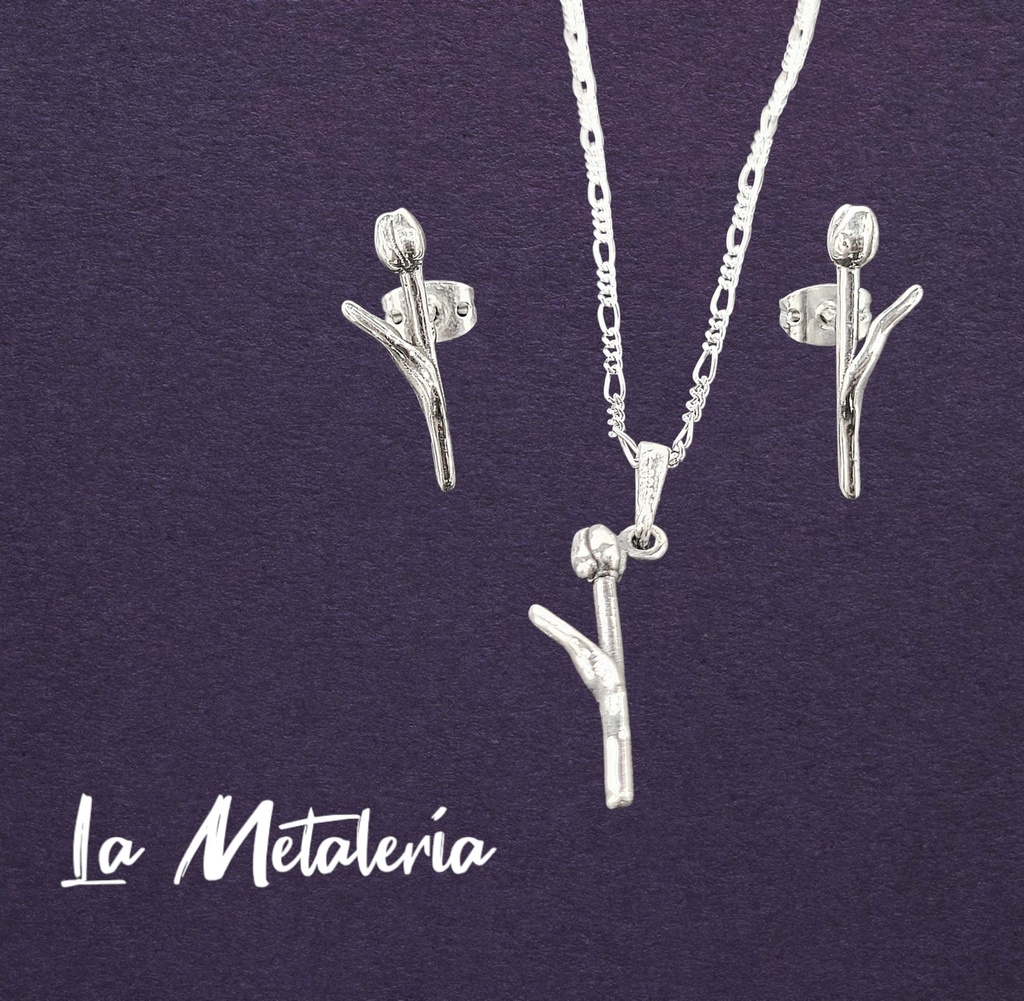 Set Tulipanes E