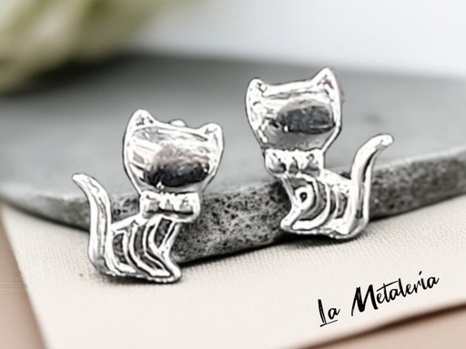 Broquel Gatito 1
